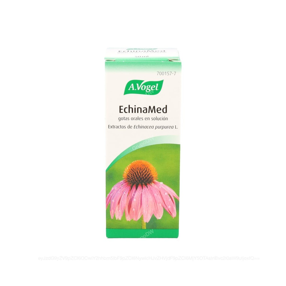 ECHINAMED GOTAS ORALES EN SOLUCION, 1 frasco de...