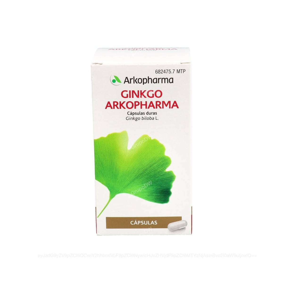 GINKGO ARKOPHARMA CAPSULAS DURAS, 200 capsulas