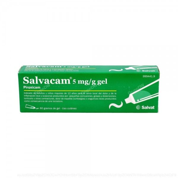 SALVACAM 5mg/g  GEL, 1 tubo de 60 g