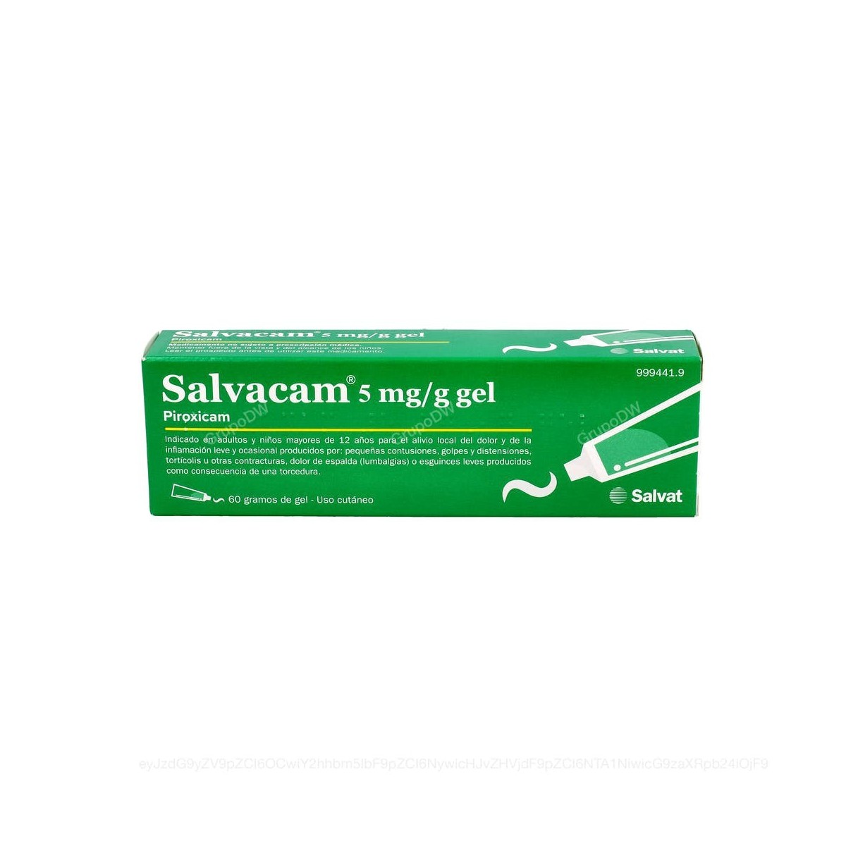 SALVACAM 5mg/g  GEL, 1 tubo de 60 g
